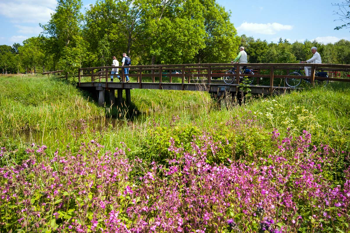 omgeving van het landgoed Drenthe